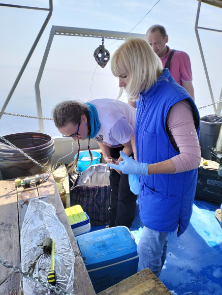 отбор трубки 3